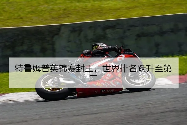 特鲁姆普英锦赛封王，世界排名跃升至第二